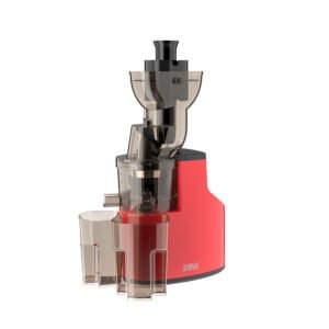 Winning Star - Masticating Juicer 0.5L - ST-1000