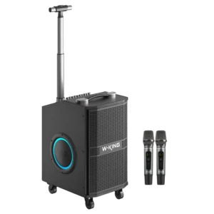 W-KING K21SE Speaker